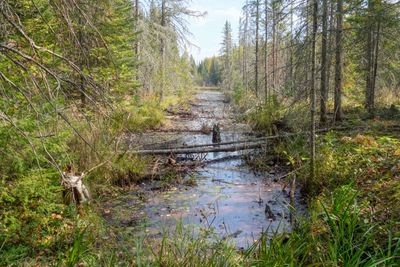 ALQ Fall 2025-140.jpg