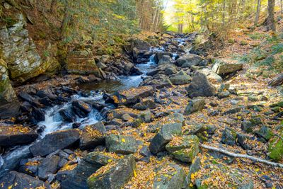 ALQ Fall 2025-143.jpg