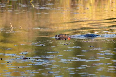 ALQ Fall 2025-146.jpg