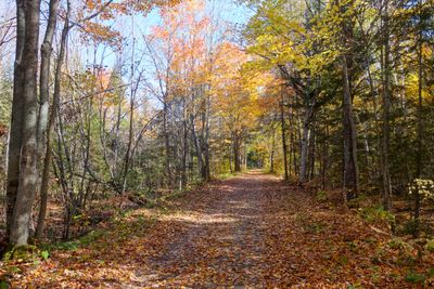 ALQ Fall 2025-149.jpg