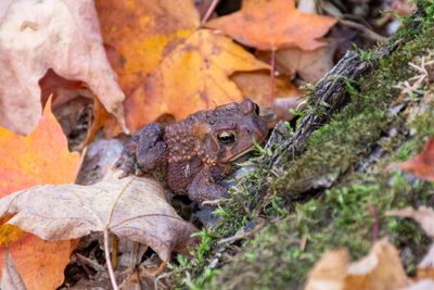 ALQ Fall 2025-151.jpg