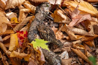 ALQ Fall 2025-152.jpg