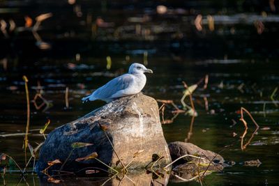 ALQ Fall 2025-157.jpg