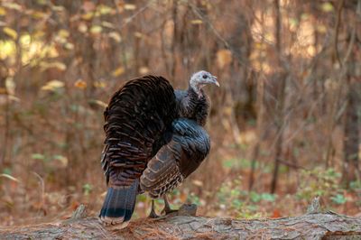 ALQ Fall 2025-163.jpg