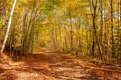 ALQ Fall 2024-121.jpg