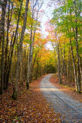 ALQ Fall 2024-122.jpg