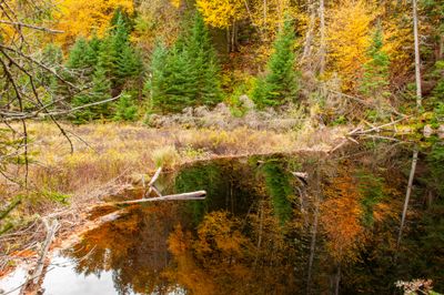 ALQ Fall 2024-125.jpg