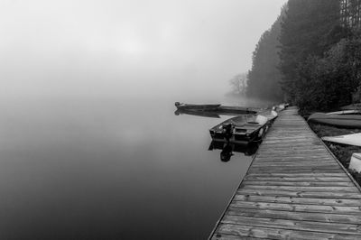 ALQ Fall 2024-129.jpg