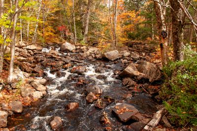 ALQ Fall 2024-132.jpg