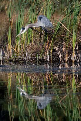 ALQ Fall 2024-153.jpg