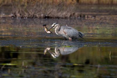 ALQ Fall 2024-156.jpg