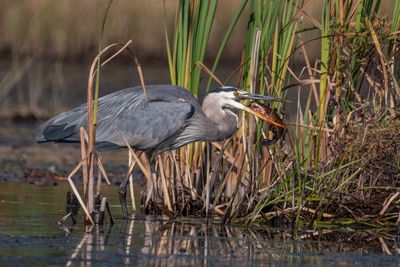 ALQ Fall 2024-159.jpg