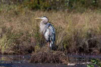 ALQ Fall 2024-168.jpg