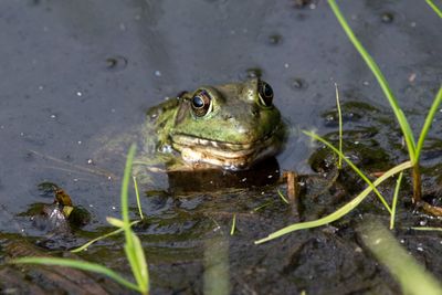 ALQ Fall 2024-183.jpg