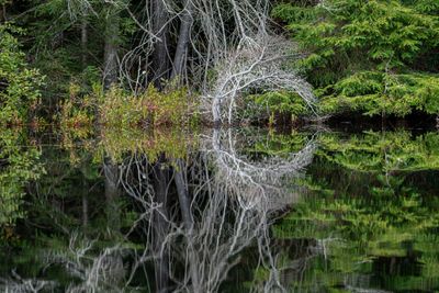 ALQ Fall 2024-191.jpg