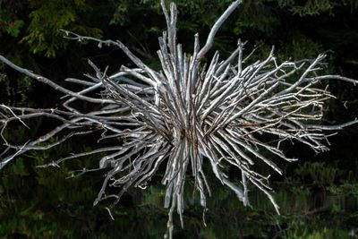 ALQ Fall 2024-193.jpg