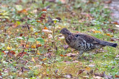 ALQ Fall 2024-194.jpg