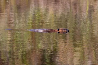 ALQ Fall 2024-195.jpg