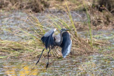 ALQ Fall 2024-200.jpg