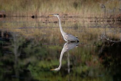 ALQ Fall 2024-208.jpg