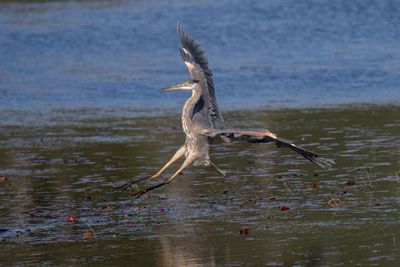 ALQ Fall 2024-224.jpg