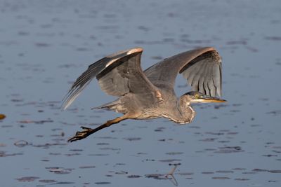 ALQ Fall 2024-231.jpg