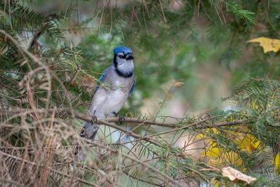 ALQ Fall 2024-235.jpg