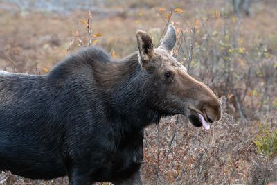 ALQ Fall 2024-242.jpg