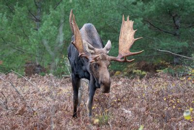 ALQ Fall 2024-250.jpg