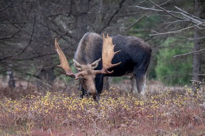 ALQ Fall 2024-257.jpg