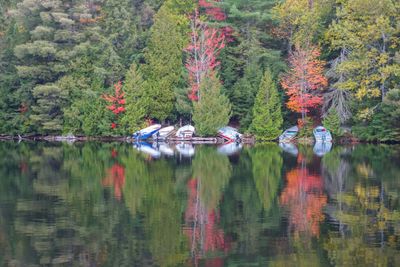 ALQ Fall 2024-303.jpg