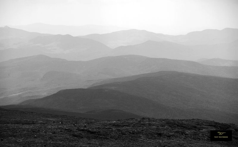 The White Mtns