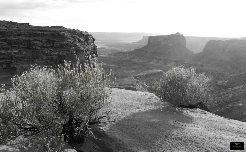 Canyon Lands
