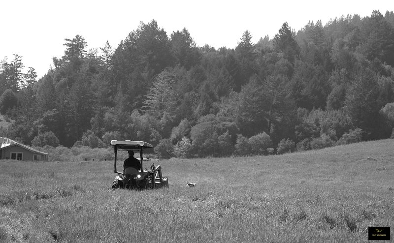 Sonoma Journey