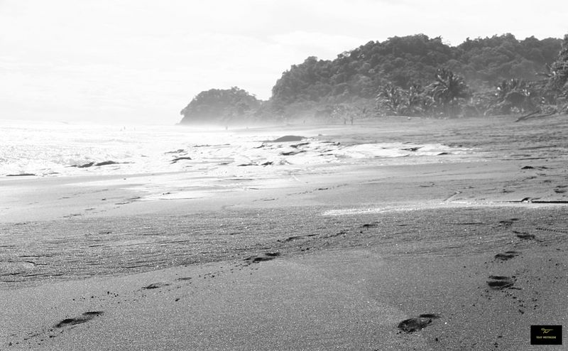 Black & White, Places