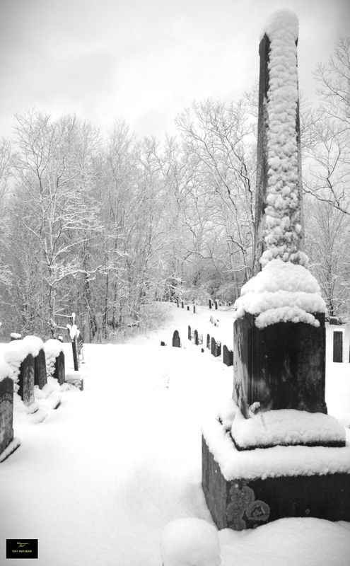 Moments of Winter 