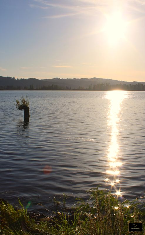 Sunset, Columbia River 
