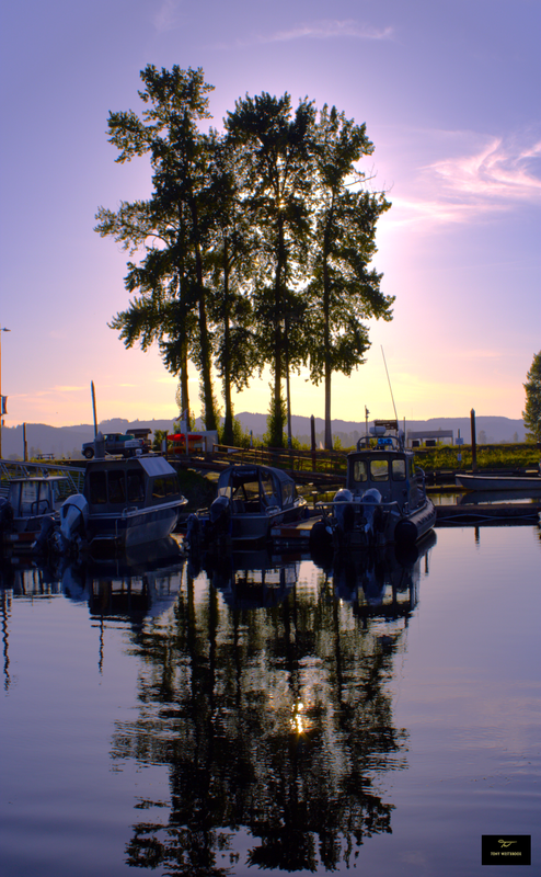 Golden Years, Elochoman Marina