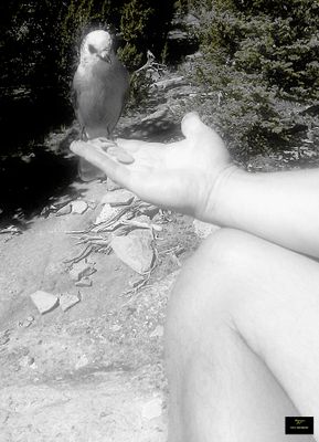 g13/62/871762/3/175459197.4a73a938.JPEG