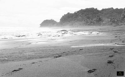 g13/62/871762/3/175526008.514215a2.JPEG