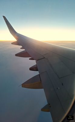 g13/62/871762/3/175836475.d2eb3b87.JPEG