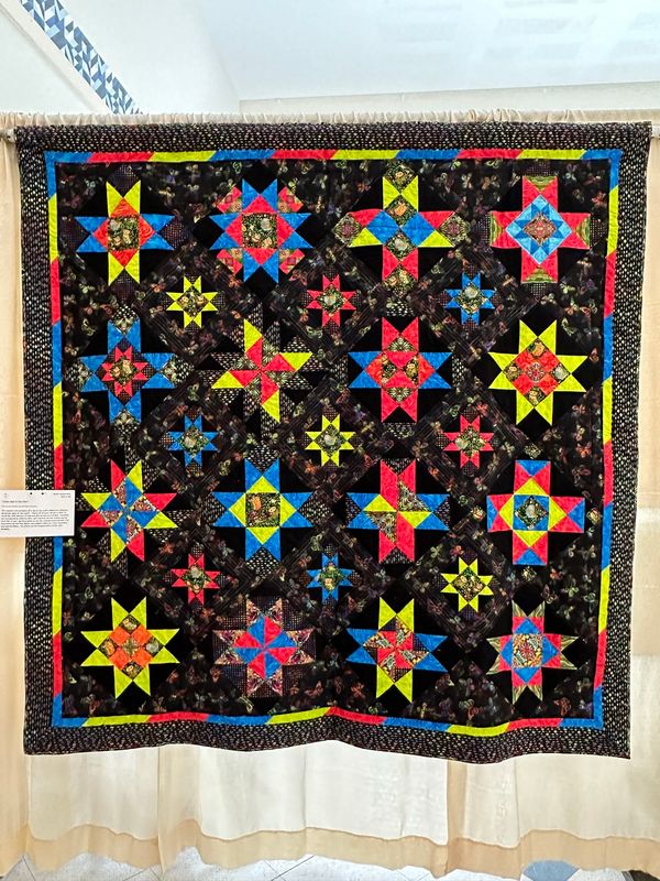 Quilt 104 by Heidi Kapszukiewicz - Little Owls in The Stars