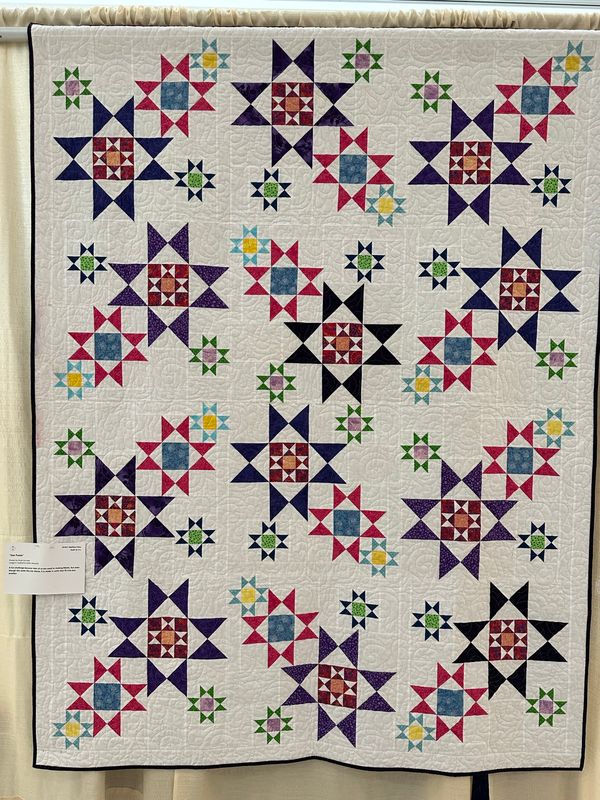 Quilt 171 by Paula Corrado - Star Puzzle