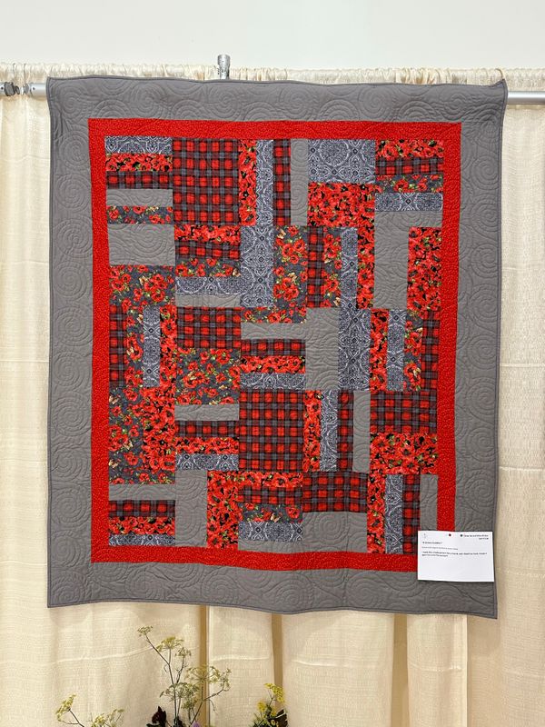 Quilt 234 by Karen Dahle - A Unisex Cuddler!