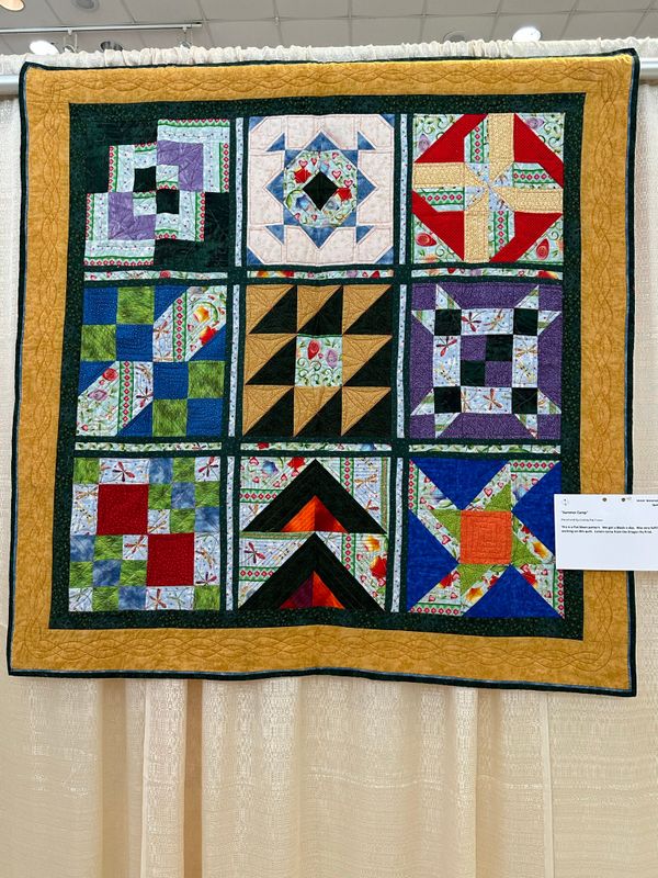 Quilt 235 by Pat Fraser - Summer Camp