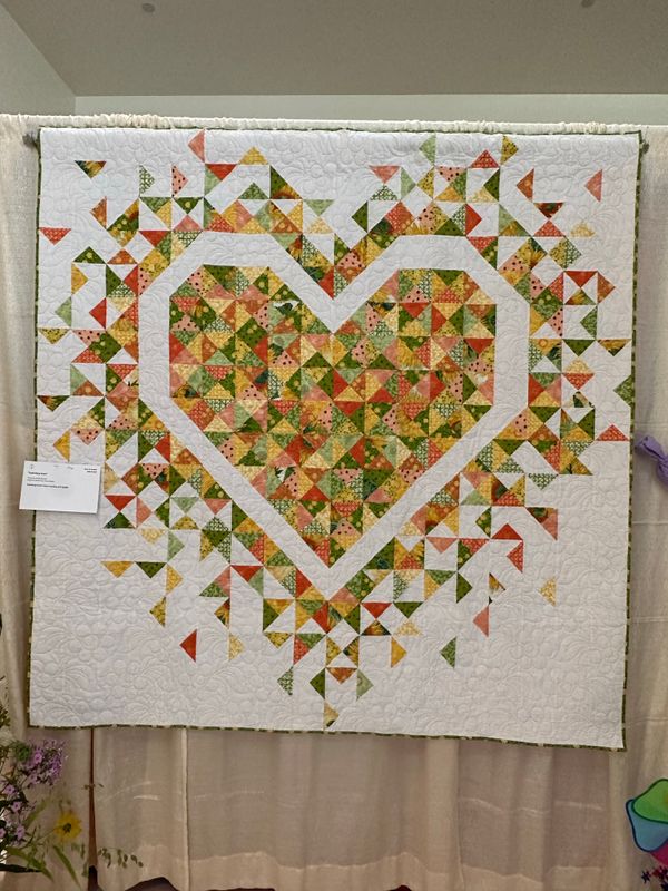 Quilt 256 by Heidi Barrett -Exploding Heart