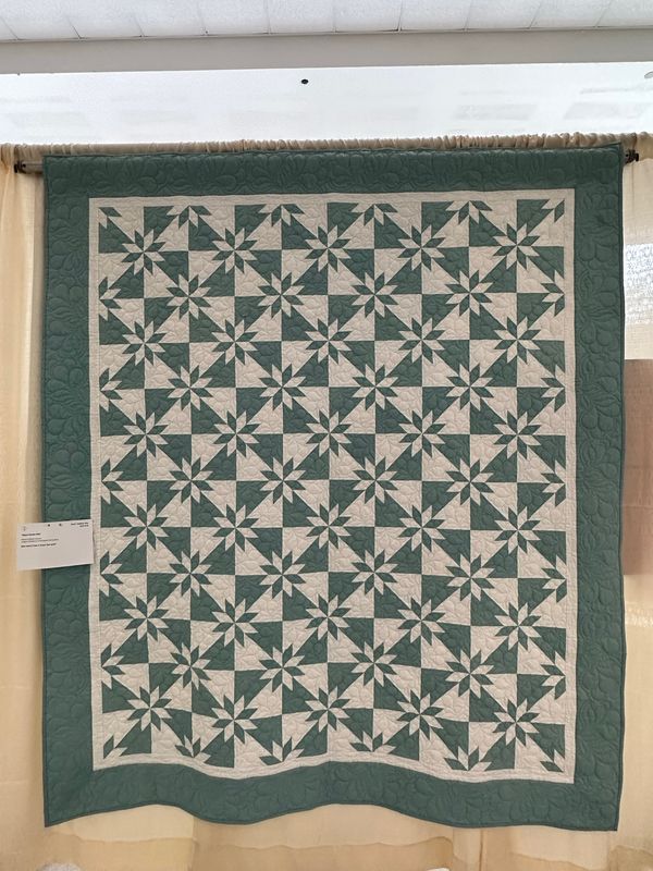 Quilt 63 by Nickie Johnson - Aqua Hunter Star