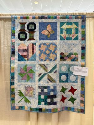 Quilt 130 by Heidi Barrett - Block of the Month