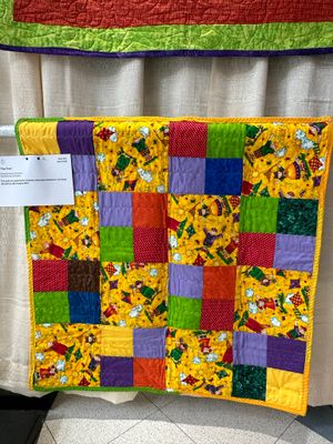 Quilt 222 by Group at Bayview - Play Time