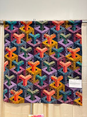 Quilt 40 by Pat Cosgrove - Esher Cubed